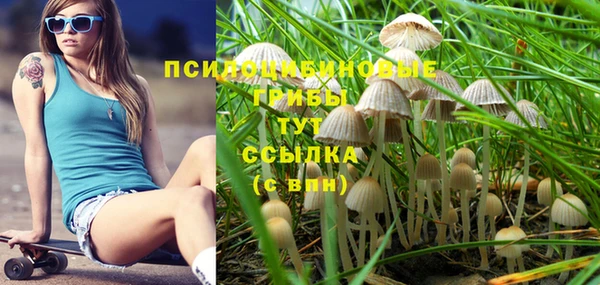 ГАЛЛЮЦИНОГЕННЫЕ ГРИБЫ Алексин