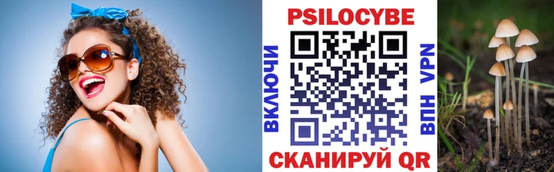 что такое   Дмитриев  МЕГА маркетплейс  Галлюциногенные грибы Magic Shrooms 